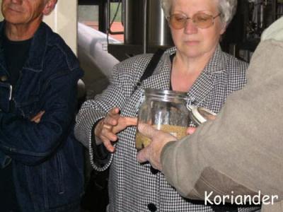 IMG_0564 copy